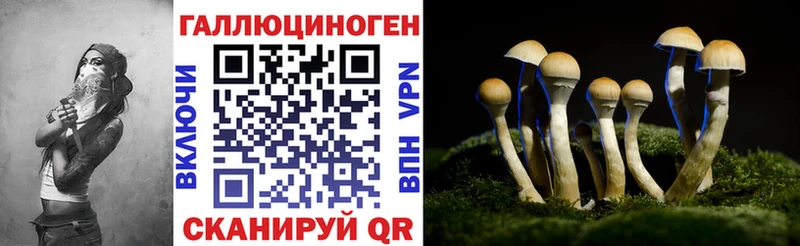 Псилоцибиновые грибы мухоморы  купить наркотики сайты  Кашин 