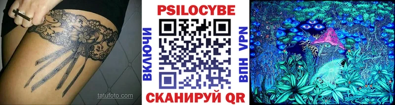 Псилоцибиновые грибы Psilocybe Кашин