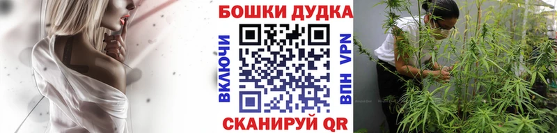 купить  цена  Кашин  Марихуана марихуана 